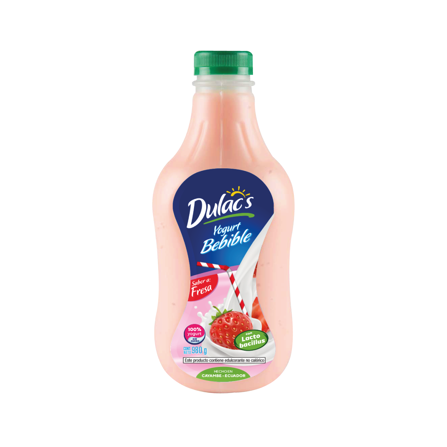 Dulacs Yogurt Bebible 980G